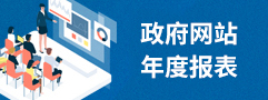 政府網(wǎng)站年度報表