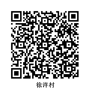 徐洋村