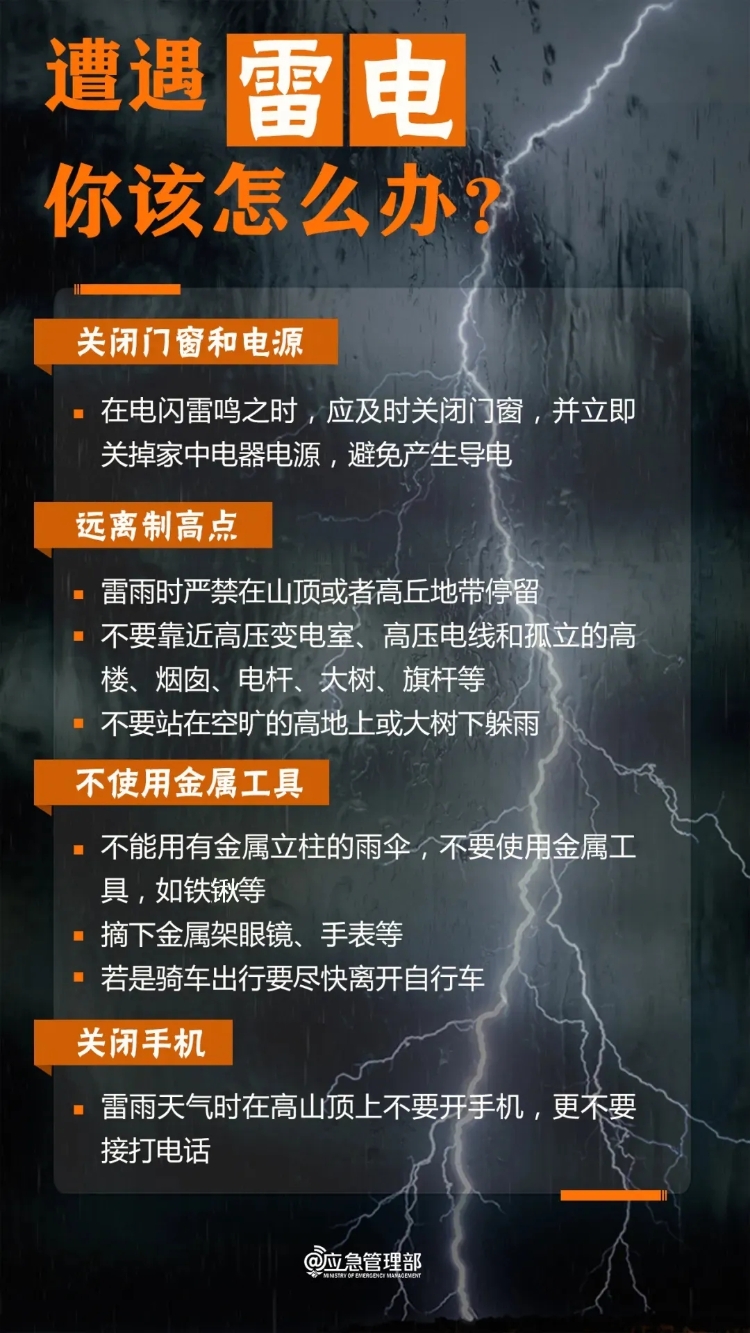 20250411-3.webp.jpg