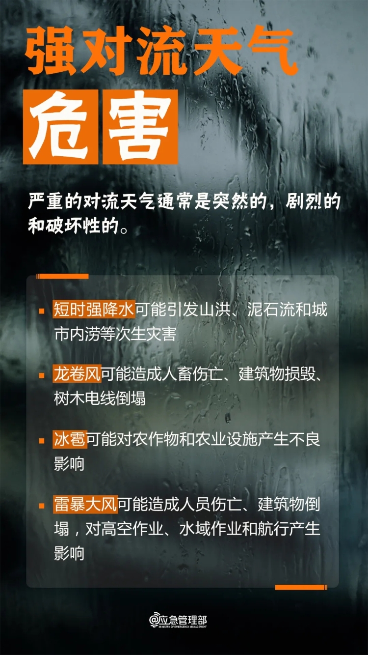 20250411-1.webp.jpg